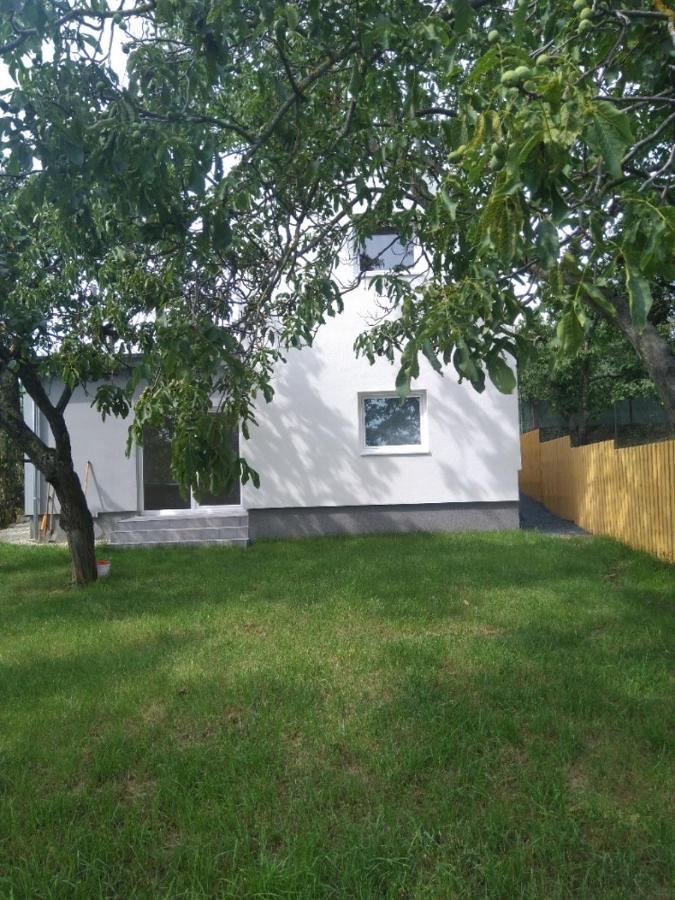Dum V Brne Apartment Brno Exterior photo