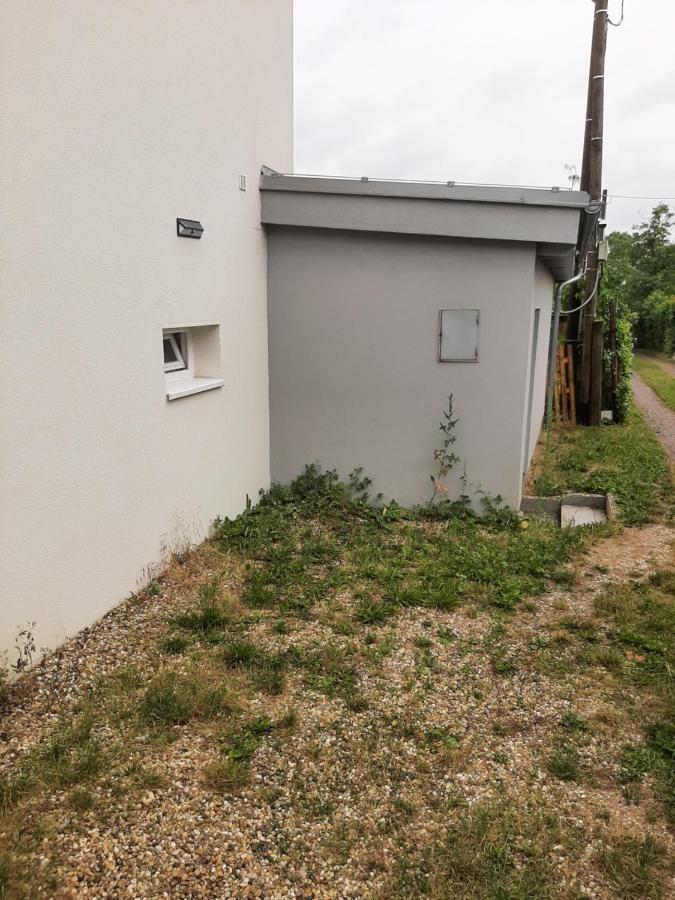 Dum V Brne Apartment Brno Exterior photo